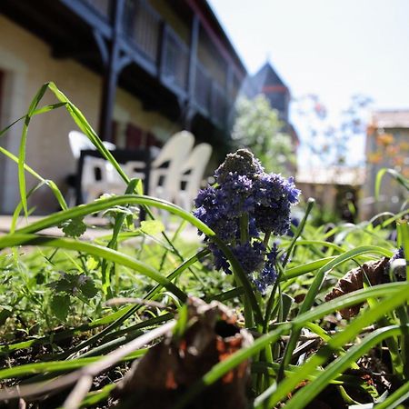 Au Repos Des Elfes Villa Braye-sous-Faye Eksteriør bilde